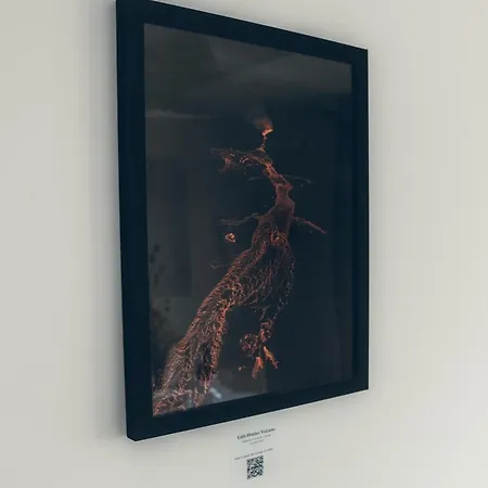 Apartment Lava Poitiers