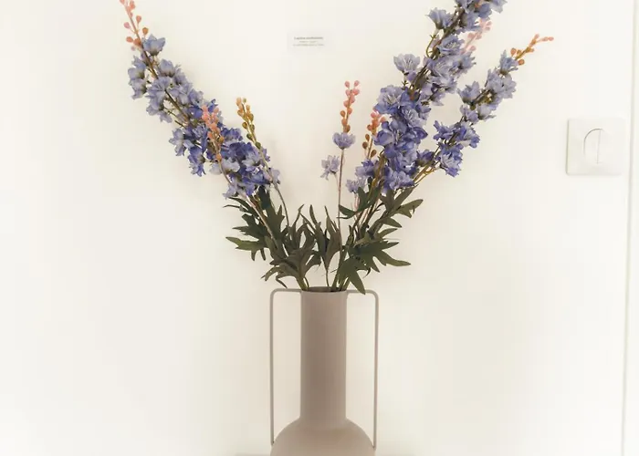 Appartement Lava Poitiers